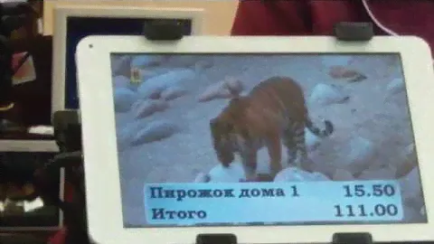 Дисплей покупателя мультимедийный